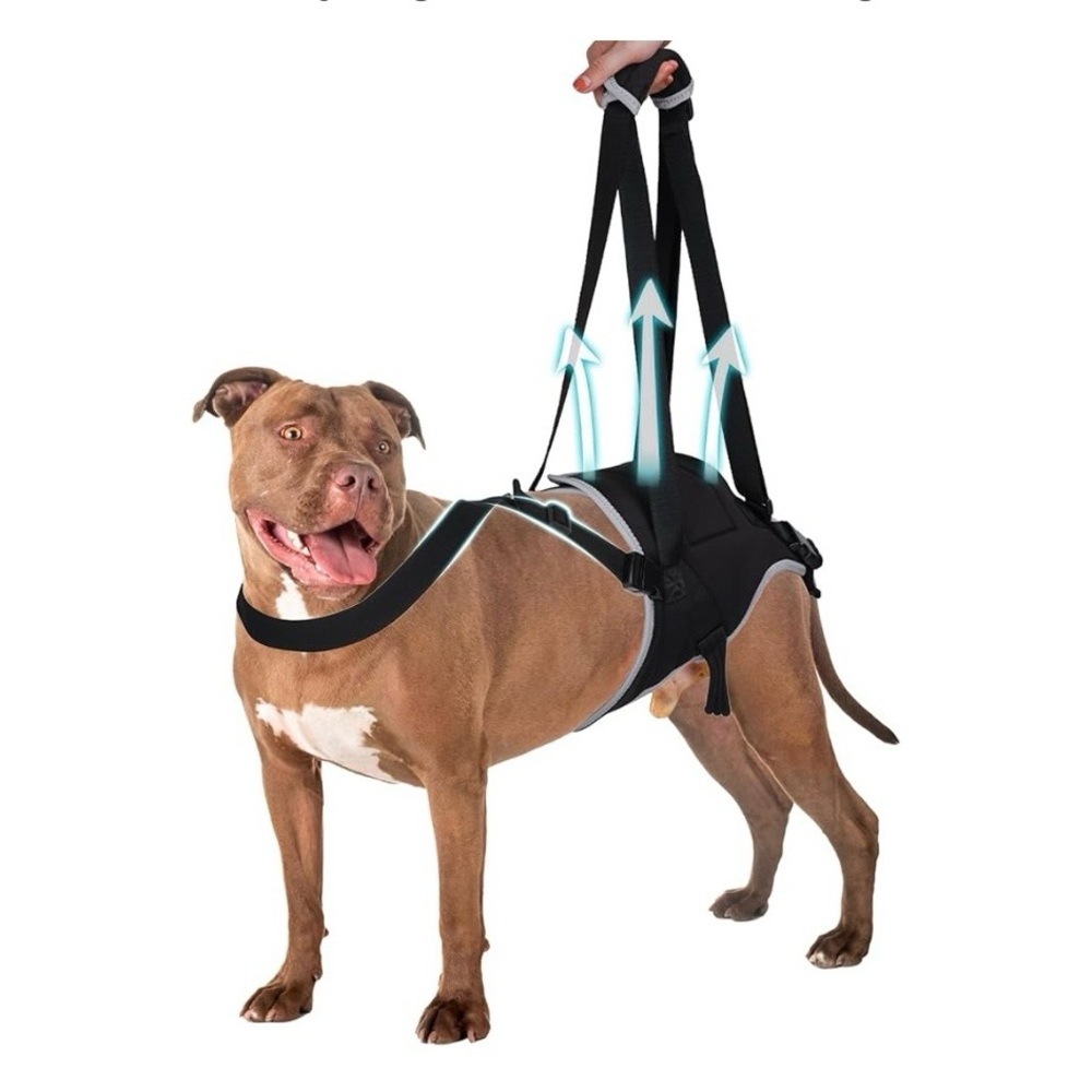 Dog Lift Harness for Large Dogs, Hind Leg Support to Help Rehabilitate, Large